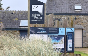 MARCHE DU 19 NOVEMBRE