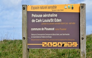 MARCHE DU 31 DECEMBRE