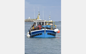 MARCHE DU 28 JANVIER