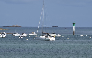 6aa263f946905_DSC0598.JPG