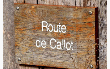 MARCHE DU 26 NOVEMBRE