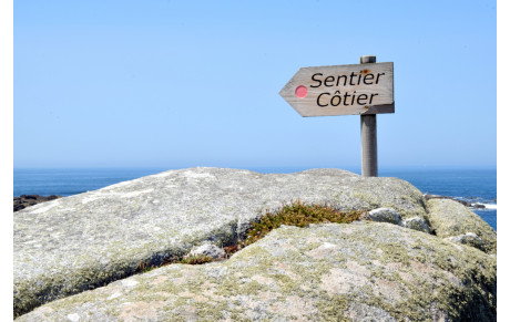 REPRISE DE NOS MARCHES 