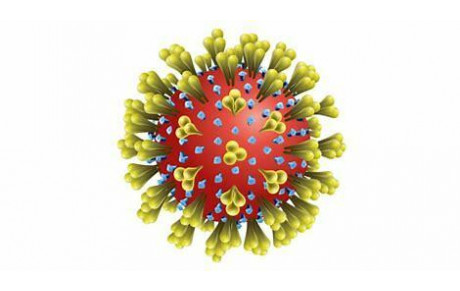 COVID . SUSPENSION DES MARCHES.