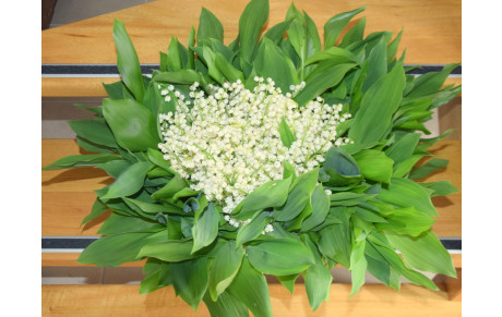 REPRISE DE NOS MARCHES 