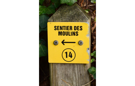 MARCHE DU 1er SEPTEMBRE