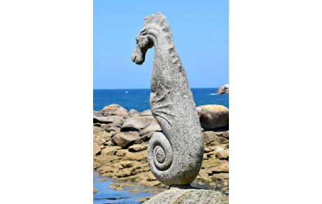 MARCHE DU 17 NOVEMBRE