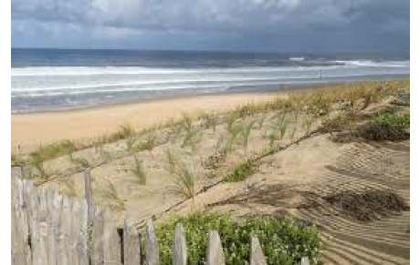 MOT DE FRANCOIS : PLANTATION D'OYATS AUX AMIETS