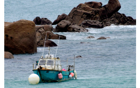MARCHE DU 1er DECEMBRE