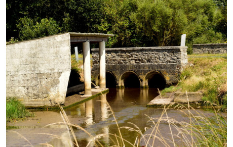 MARCHE DU 8 DECEMBRE