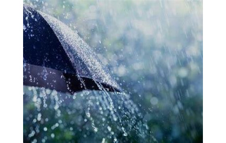 ANNULATION MARCHE DU 8 DECEMBRE