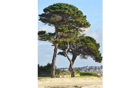 MARCHE DU 16 FEVRIER