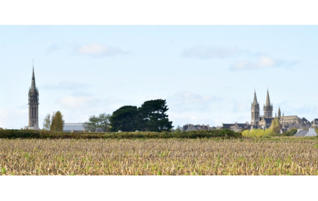 MARCHE DU MERCREDI 6 AVRIL