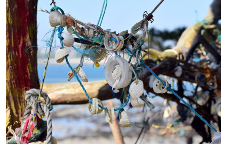 MARCHE DU 27 JUILLET A SANTEC