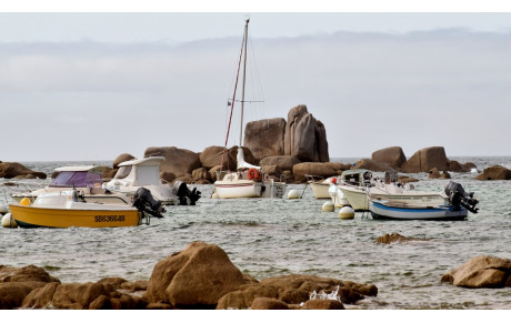 MARCHE DU 3 AOUT A CLEDER