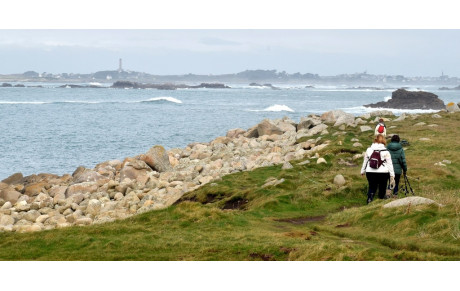 MARCHE DU 14 DECEMBRE