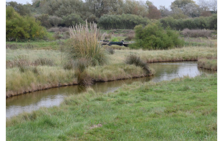 MARCHE DU 11 JANVIER + GALETTE DES ROIS