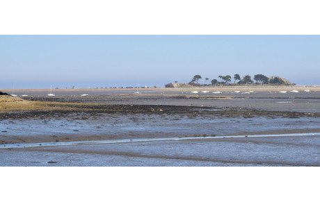 MARCHE DU 20 SEPTEMBRE