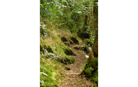 PAS DE MARCHE CE MERCREDI 1er NOVEMBRE 