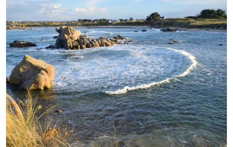 MARCHE DU 15 NOVEMBRE ET ESSAIS DES POLAIRES