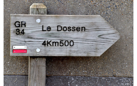 MARCHE DU 22 NOVEMBRE