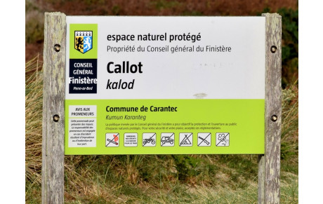 MARCHE DU 31 JANVIER