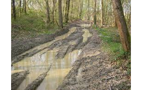 03/04 : ANNULATION MARCHE DE PLOUZEVEDE, AU PROFIT D UNE MARCHE A CLEDER