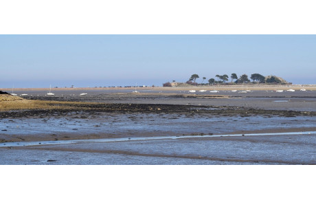 MARCHE DU 31 JUILLET