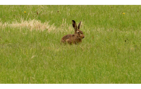 MARCHE DU 27 NOVEMBRE