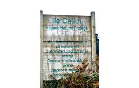 MARCHE DU 19 FEVRIER