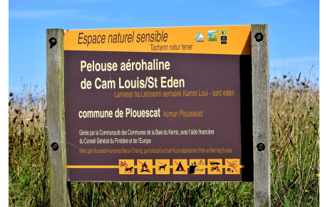 MARCHE DU 26 FEVRIER