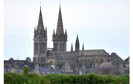 MARCHE DU 12 NOVEMBRE ( en remplacement du circuit prévu à HENVIC)