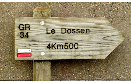 MARCHE DU MERCREDI 10 DECEMBRE / MARCHE SOLIDAIRE DU TELETHON