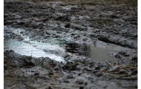 MARCHE DU 10 DECEMBRE /  MODIFICATION DEPART